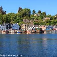 Buy canvas prints of Panoramic View of Tobermory on the Isle of Mull by David Morton