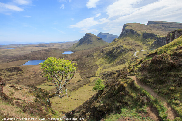 View South from The Quiraing on Skye Picture Board by David Morton