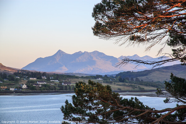 The Cuillins from Portree Picture Board by David Morton
