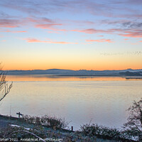Buy canvas prints of Flock of Birds at Dawn Over the Taw Estuary by David Morton