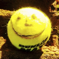 Buy canvas prints of Smiling Tennis Ball- Unique Photography by Vincent J. Newman