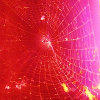 Buy canvas prints of Scarlet Web- Unique Abstract Photgraphy by Vincent J. Newman