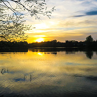 Buy canvas prints of Sunset Over U.E.A Lake, Norwich, England by Vincent J. Newman