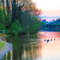 Buy canvas prints of Sunset at Whitlingham Lake, Norwich, U.K  by Vincent J. Newman