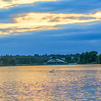 Buy canvas prints of Whitlingham Lake at Sunset by Vincent J. Newman