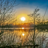 Buy canvas prints of Sunset at The Lake by Vincent J. Newman