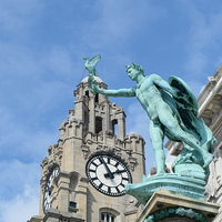 Buy canvas prints of Liver Bird Perch by Gregory Lawson