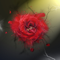 Buy canvas prints of Electric Rose by Steve Hardiman
