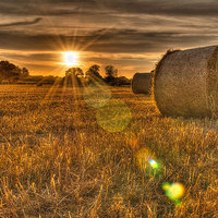 Buy canvas prints of Straw Bales by Mike Janik