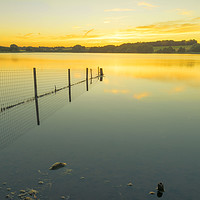 Buy canvas prints of Sunset Over Pickmere Lake  by Mike Janik