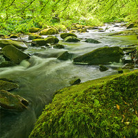 Buy canvas prints of The Birks Of Aberfeldy by Mark Robson