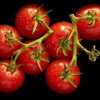 Buy canvas prints of Tomatoes  by richard pereira