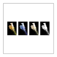 Buy canvas prints of simply lilies by richard pereira