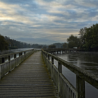 Buy canvas prints of Henley-on-Thames river walkway by richard pereira