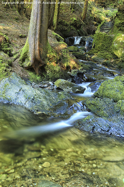 A Serene Waterfall in Puck's Glen Picture Board by Jane Braat