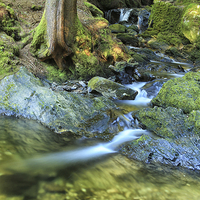 Buy canvas prints of A Serene Waterfall in Puck's Glen by Jane Braat