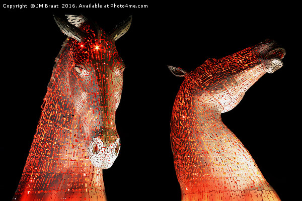 Fiery Red Kelpies Under the Night Sky Picture Board by Jane Braat