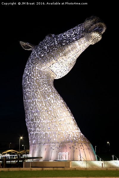 The Right Kelpie at Night Picture Board by Jane Braat
