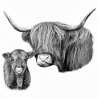 Buy canvas prints of Maternal Love in Scottish Highlands by Jane Braat