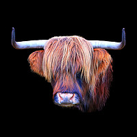 Buy canvas prints of The Highland Cow by Jane Braat