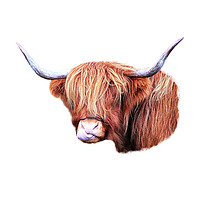 Buy canvas prints of Highland Cow by Jane Braat