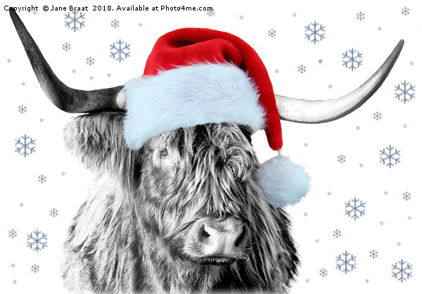 The Festive Scottish Cow Picture Board by Jane Braat
