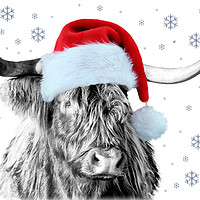 Buy canvas prints of The Festive Scottish Cow by Jane Braat