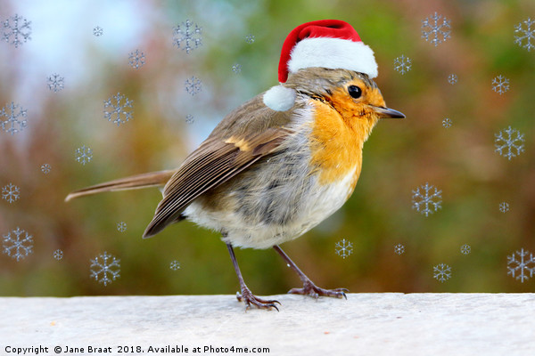 Adorable Christmas Robin Picture Board by Jane Braat