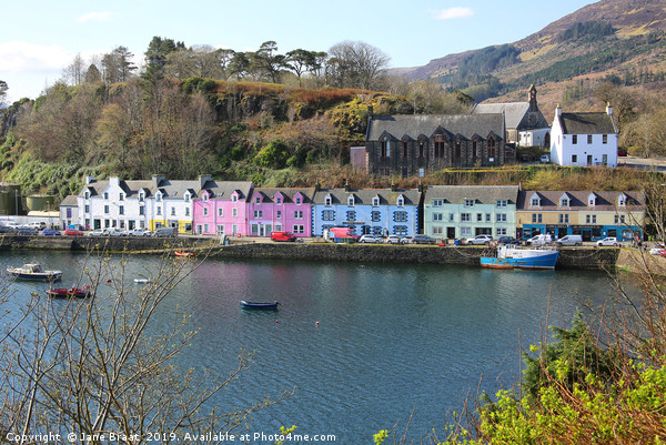 Charming Portree Picture Board by Jane Braat