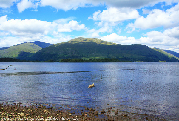 Ben Cruachan and Loch Awe Picture Board by Jane Braat
