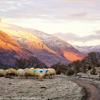 Buy canvas prints of Argyll Winter Landscape by Jane Braat