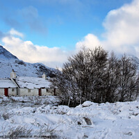 Buy canvas prints of Winter Wonderland in Glen Coe by Jane Braat