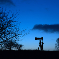 Buy canvas prints of Long-Lens Silhouette. by william peplow
