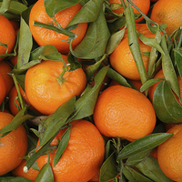 Buy canvas prints of Clementines by Bridget McGill