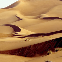 Buy canvas prints of Sand Dune, Dubai, UAE by Jacqueline Burrell