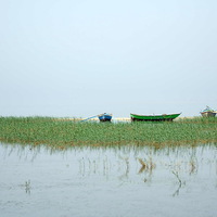 Buy canvas prints of Fishings Boats on Lake Qarun by Jacqueline Burrell