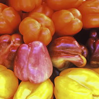 Buy canvas prints of Red and Yellow Capsicums by Jacqueline Burrell