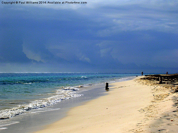 Beach at Puerto Morelos Picture Board by Paul Williams