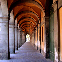 Buy canvas prints of Archways in Bologna by Paul Williams