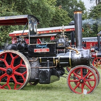 Buy canvas prints of Steam Fair & Vintage Vehicle Rally by Paul Williams