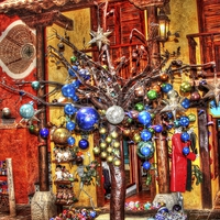 Buy canvas prints of Christmas Tree Mexican Style by Paul Williams