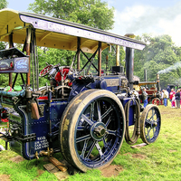 Buy canvas prints of Blue Marshall Steam Tractor by Paul Williams