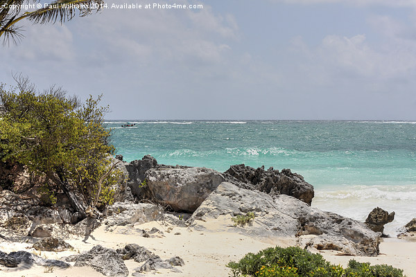 Caribbean Sea & Beach at Tulum Picture Board by Paul Williams