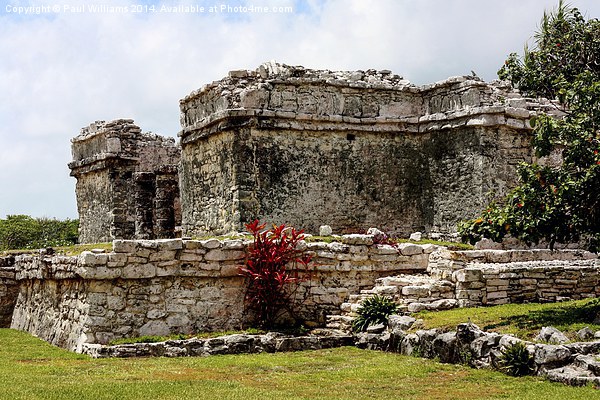 Mayan Ruins at Tulum Picture Board by Paul Williams