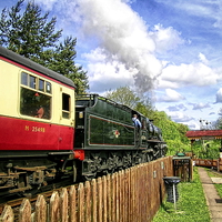 Buy canvas prints of The Rural Railway by Paul Williams