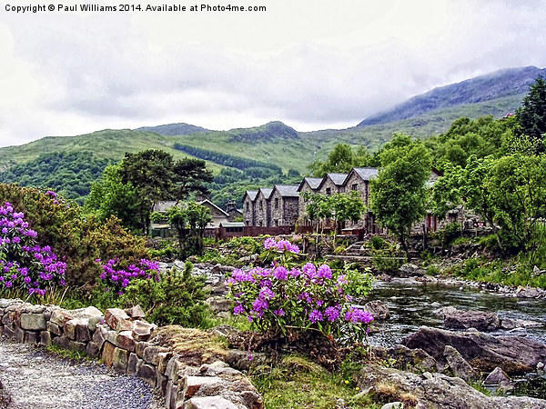 The Nant Gwynant at Beddgelert Picture Board by Paul Williams