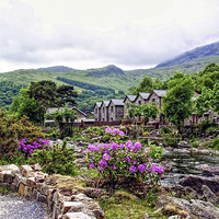 Buy canvas prints of The Nant Gwynant at Beddgelert by Paul Williams