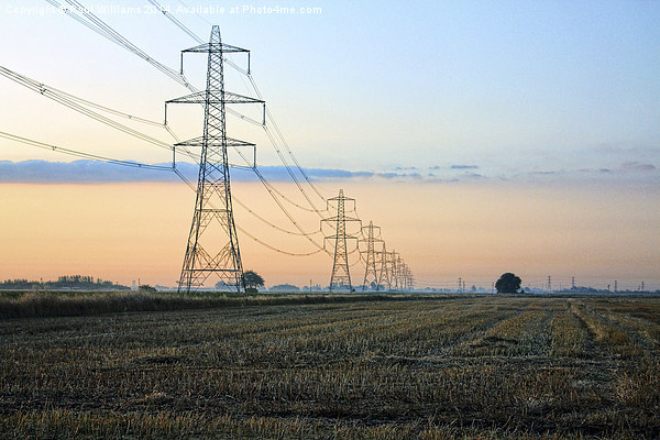 Pylons at Dawn Picture Board by Paul Williams
