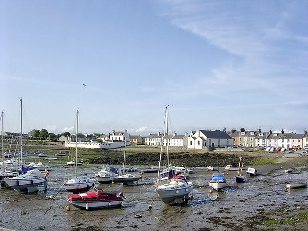 Isle of Whithorn Harbour Picture Board by Paul Williams