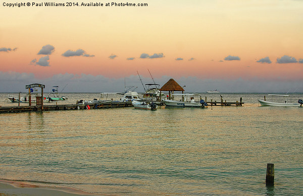 Los Pelicanos Jetty at Dusk Picture Board by Paul Williams